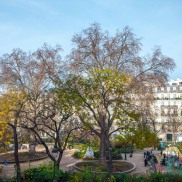Bienvenue sur le nouveau site de l'Hôtel Montholon ***